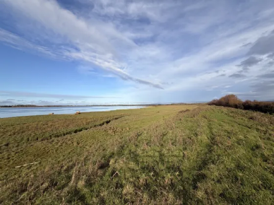 Land At Ballygirreen One Sixth Share On Folio CE65646F Plans 1 & 19 Newmarket-On-Fergus Co. Clare. — Sherry FitzGerald O'Meara (Ennis & Shannon)