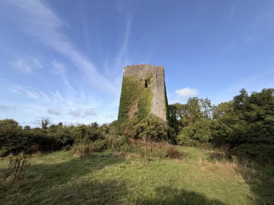 Ballygriffey Castle Ruins On 0.7ha Folio CE3481F Ballygriffey South Ruan Co Clare — Sherry FitzGerald O'Meara (Ennis & Shannon)