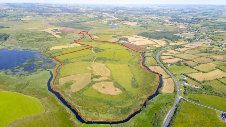 40 Hectares (98.7 Acres) Of Land On Folio CE355 Drumcullaun Inagh Co. Clare. — Sherry FitzGerald O'Meara (Ennis & Shannon)