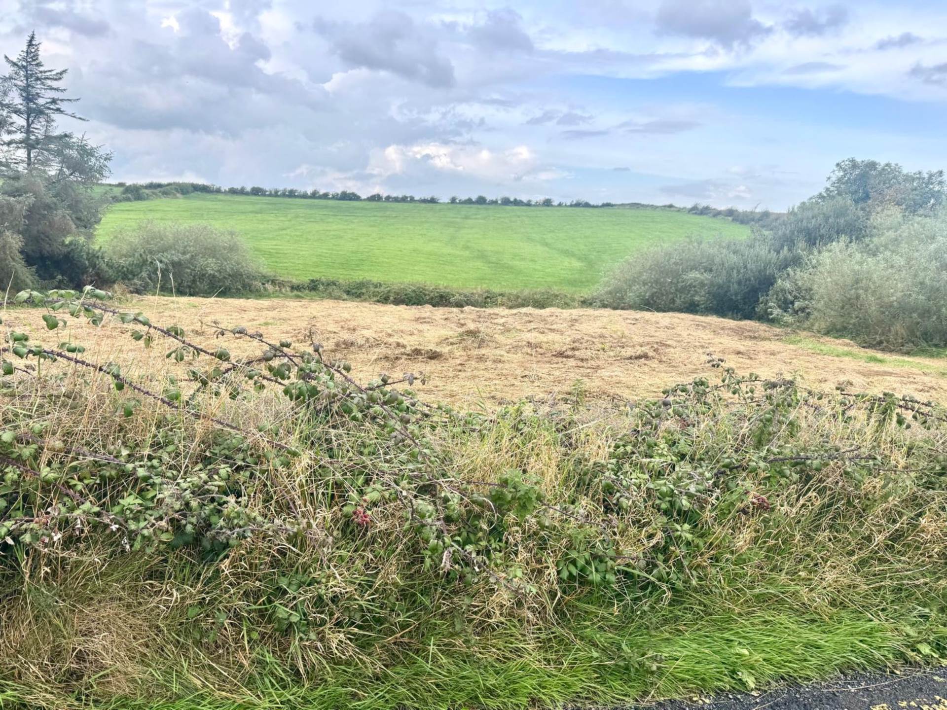 Ballybreen, Kilfenora, Co. Clare Site — Costelloe Estate Agents
