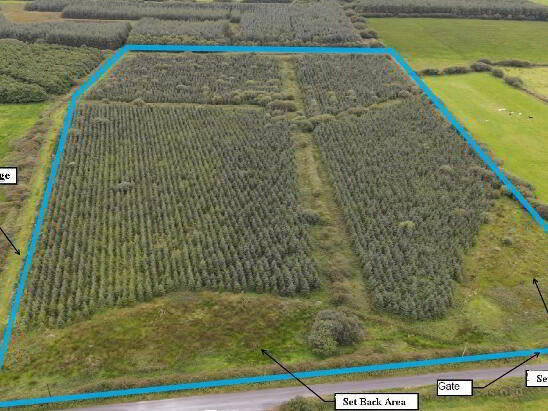 Cloonmore Doonbeg, County Clare — Paddy Browne & Co IAVI (REA Paddy Browne)