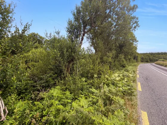 Lot 2 - Plot of Land At Bealcragga On Folio CE5478F Connolly Ennis Co Clare — Sherry FitzGerald O'Meara (Ennis & Shannon)