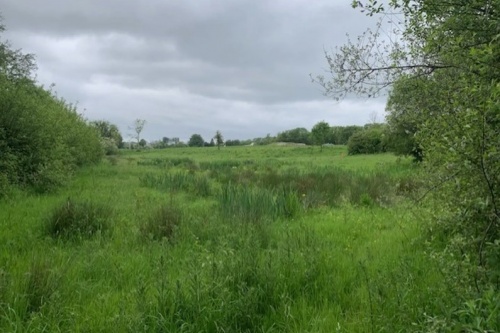 0.5 Acre Site — Helen Gallery