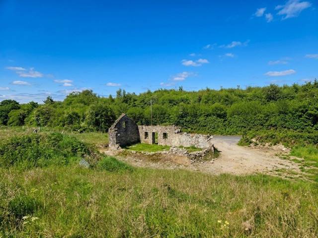 Moymore, Ruan, Ennis, Co. Clare Site-individual — DNG O'Sullivan Hurley