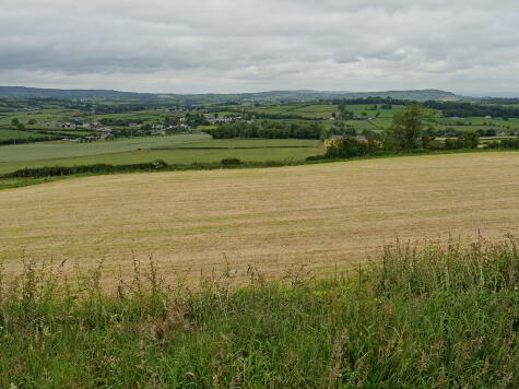 Ballinabreen Lifford, Donegal — Martin McGowan Properties