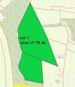 Cloonminda, Williamstown, Co Galway – Circa 17.78 Acres of Lands — Gerry Coffey Auctioneer and Valuer