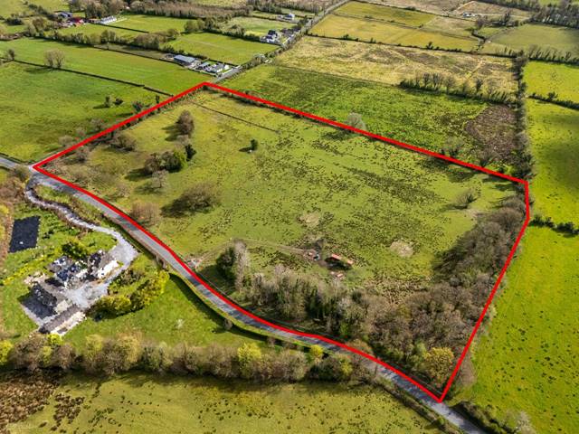 Land at Poppyhill, Kiloran, Ballinasloe, Co. Galway Agricultural — John Dolan Auctioneers Ltd