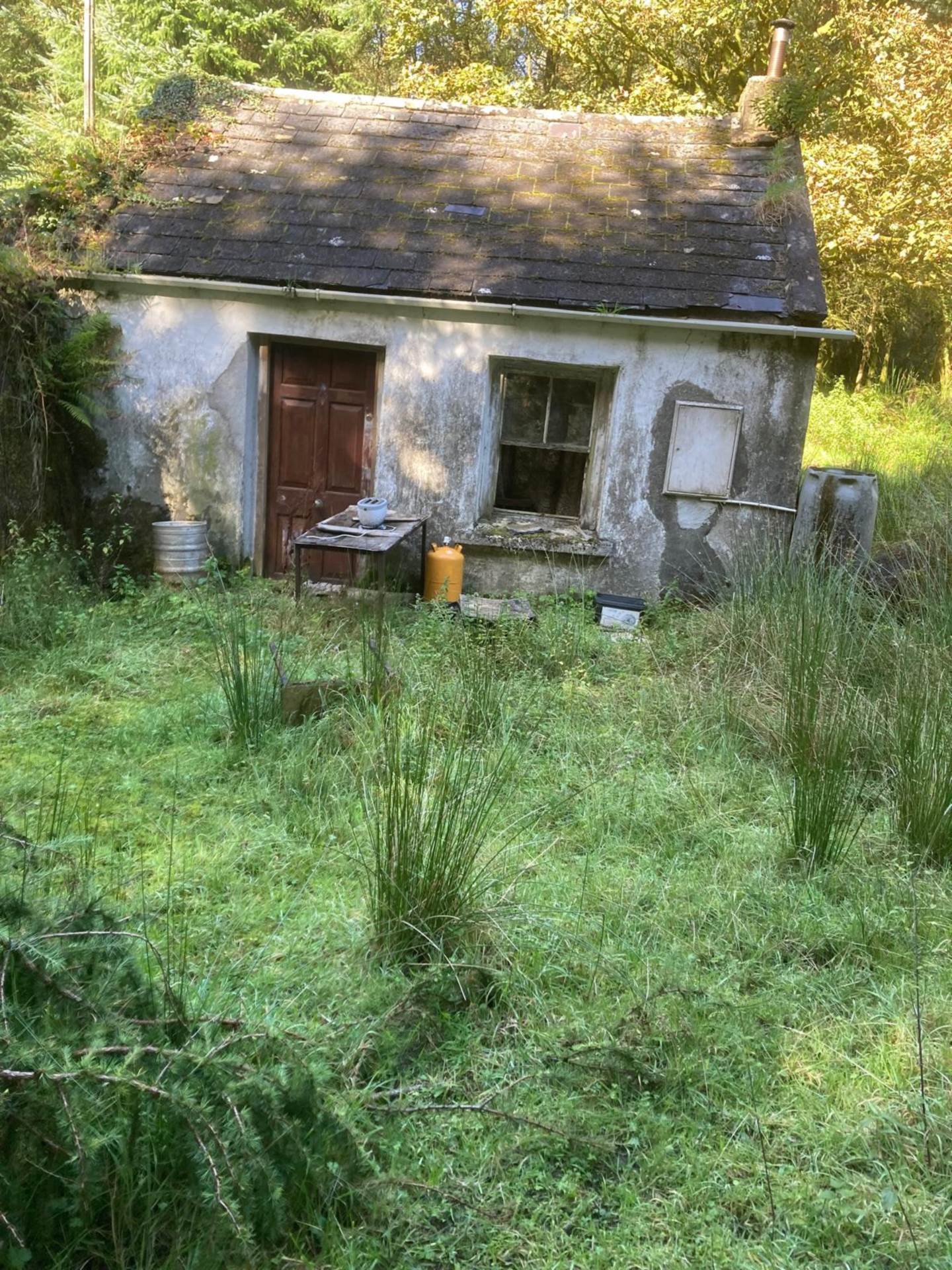 Bunnaglass, Loughrea, Co. Galway H62 H992 Detached House — Farrell Auctioneers & Estate Agents Ltd