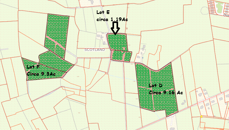 Scotland, Glenamaddy, Co Galway -Circa 7.95Ha (circa 19.65 Acres) of Lands — Gerry Coffey Auctioneer and Valuer