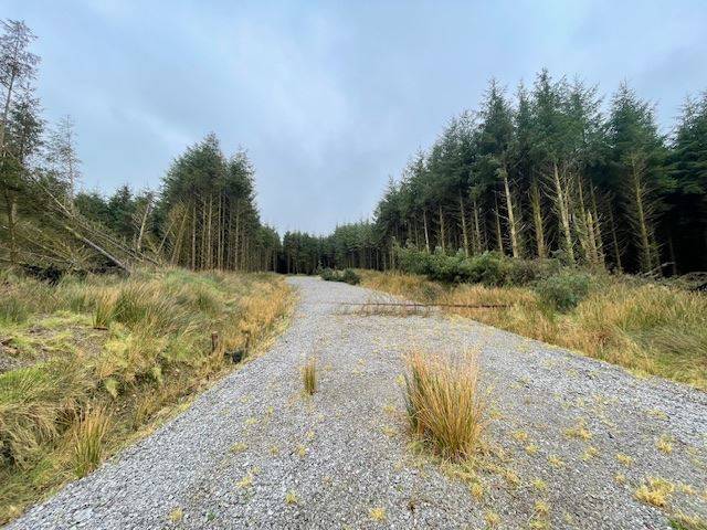 Cordal, Castleisland, Kerry Development Site — Property Partners Darragh Ó Sé