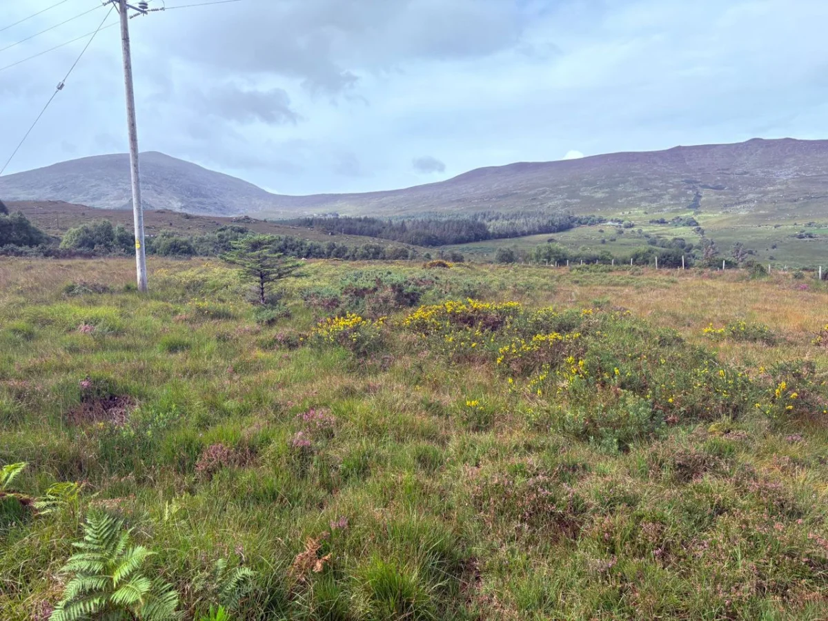 For Sale Dreenagh, Co. Kerry — Adrian Hassett Auctioneers