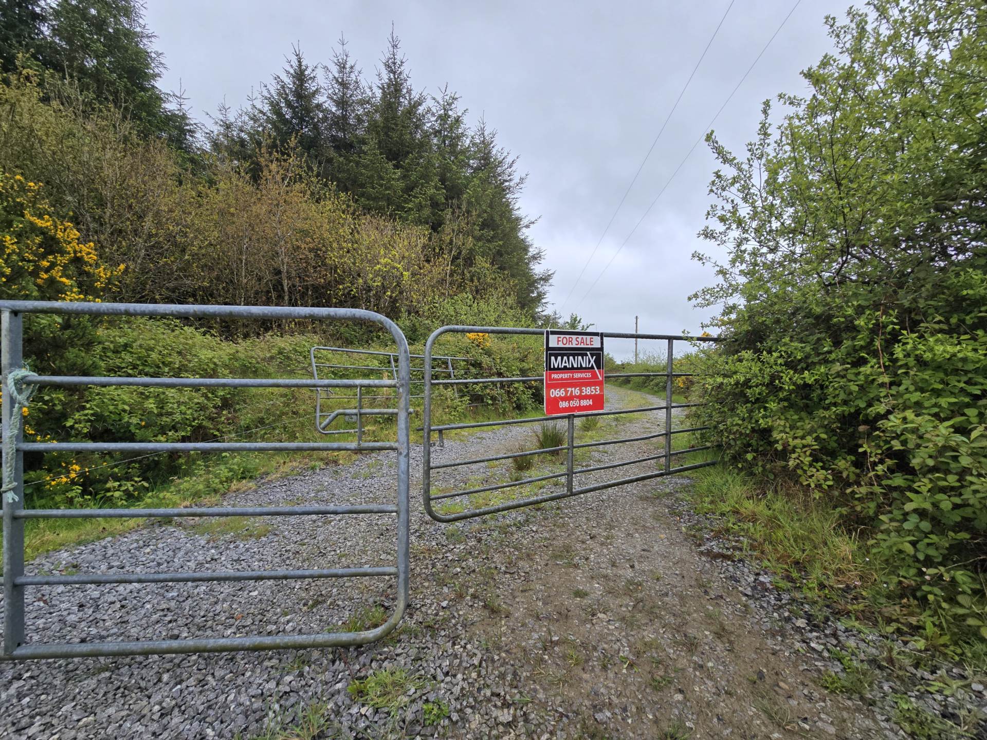 Reaglass, Castleisland, Co. Kerry Farm Land — Mannix Property Services
