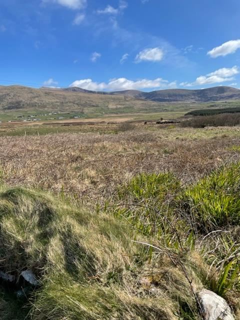 Graffee, Ballydavid, Kerry, V92 ET68 Farm — Property Partners Darragh Ó Sé