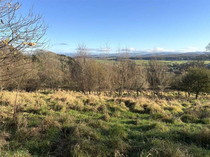 Amenity Land & Woodland - Lot 2, Lindale, Grange-Over-Sands, Cumbria, LA11 6JX — H & H Land Estates