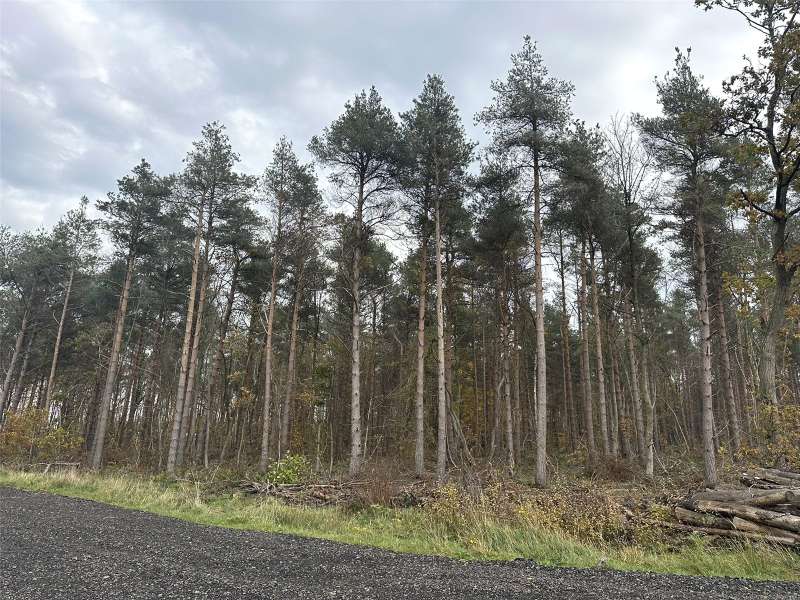 Holiday Lodge Development Site, Durham Road, Wingate, Durham, TS28 5HP — H & H Land Estates