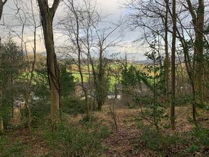 Woodland, Lyndene Drive, Lindale — Hackney & Leigh