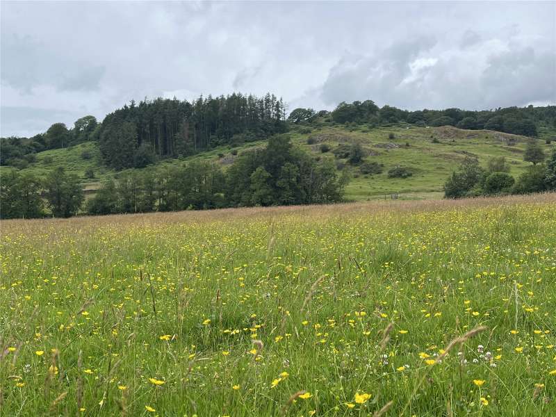 Land At Starnthwaite, Crosthwaite, Kendal, Cumbria, LA8 8HZ — H & H Land Estates