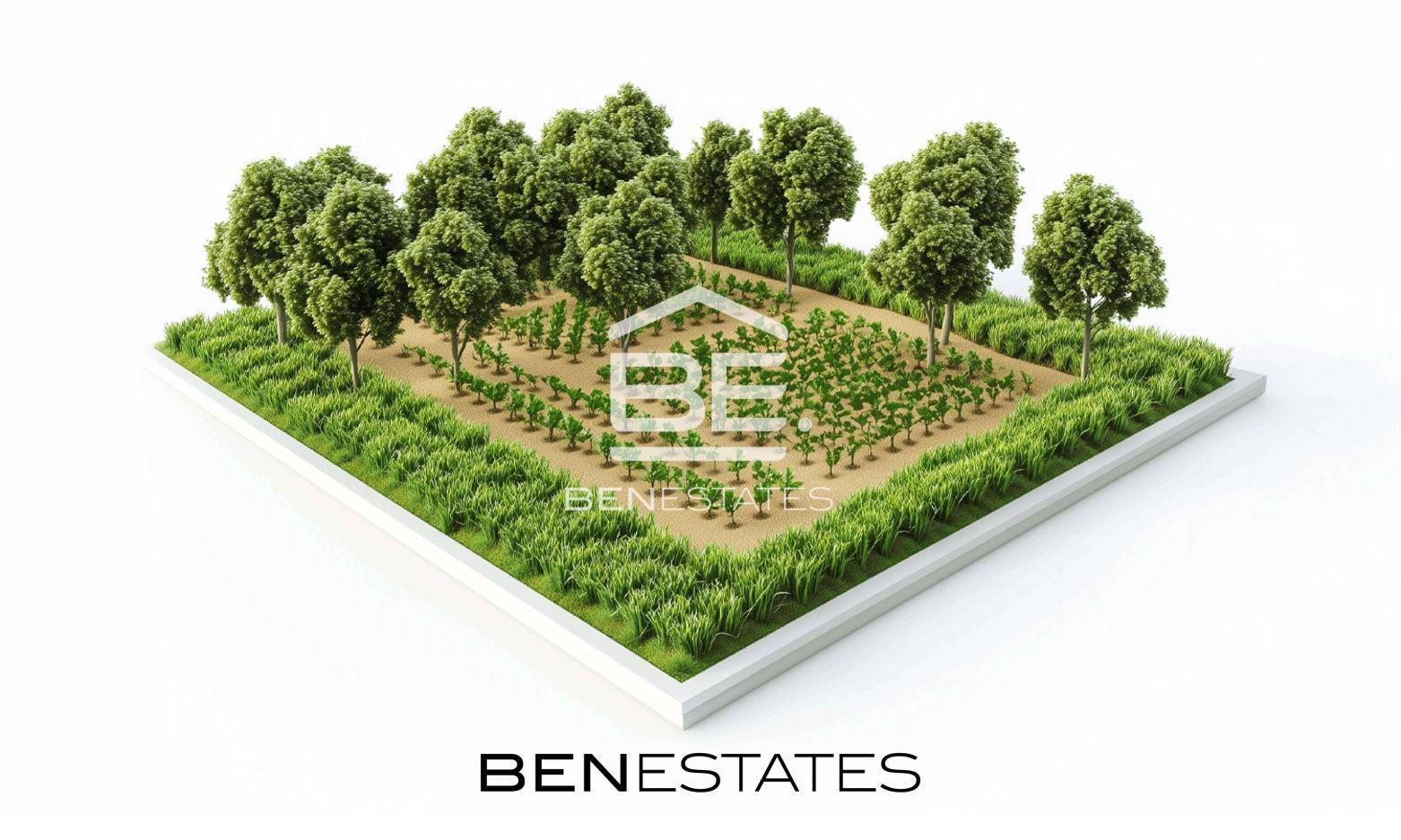 Field — Ben Estates