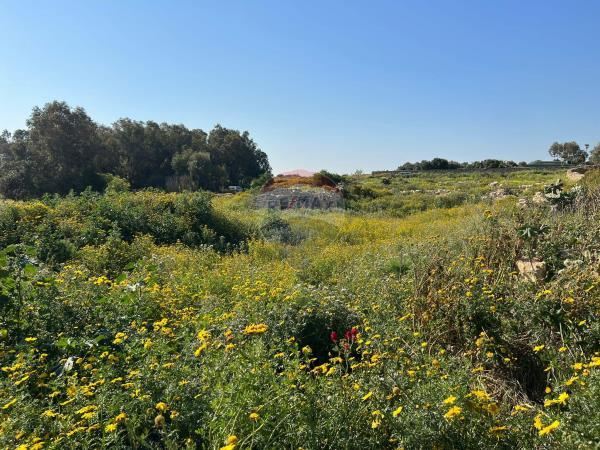 Farmhouse — RE/MAX Malta