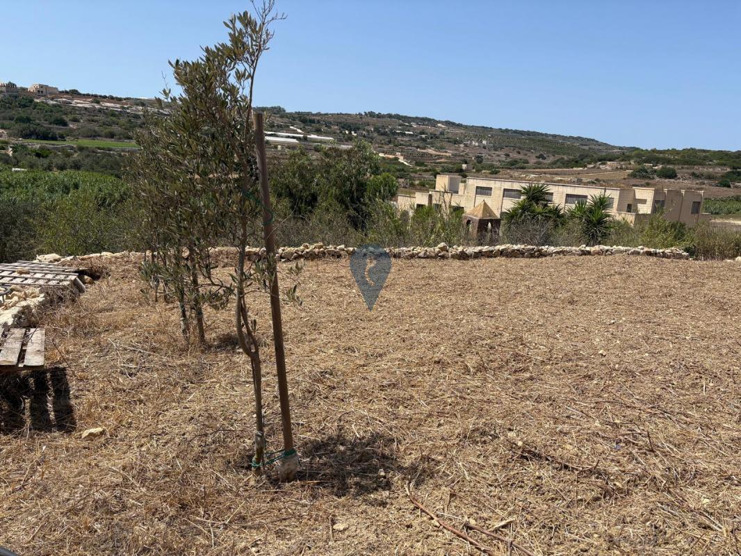 Field in Bidnija - REF 90129 — Zanzi Homes