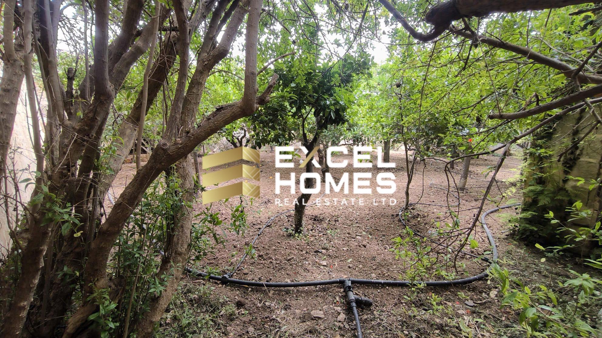 Townhouse — Excel Homes Real Estate