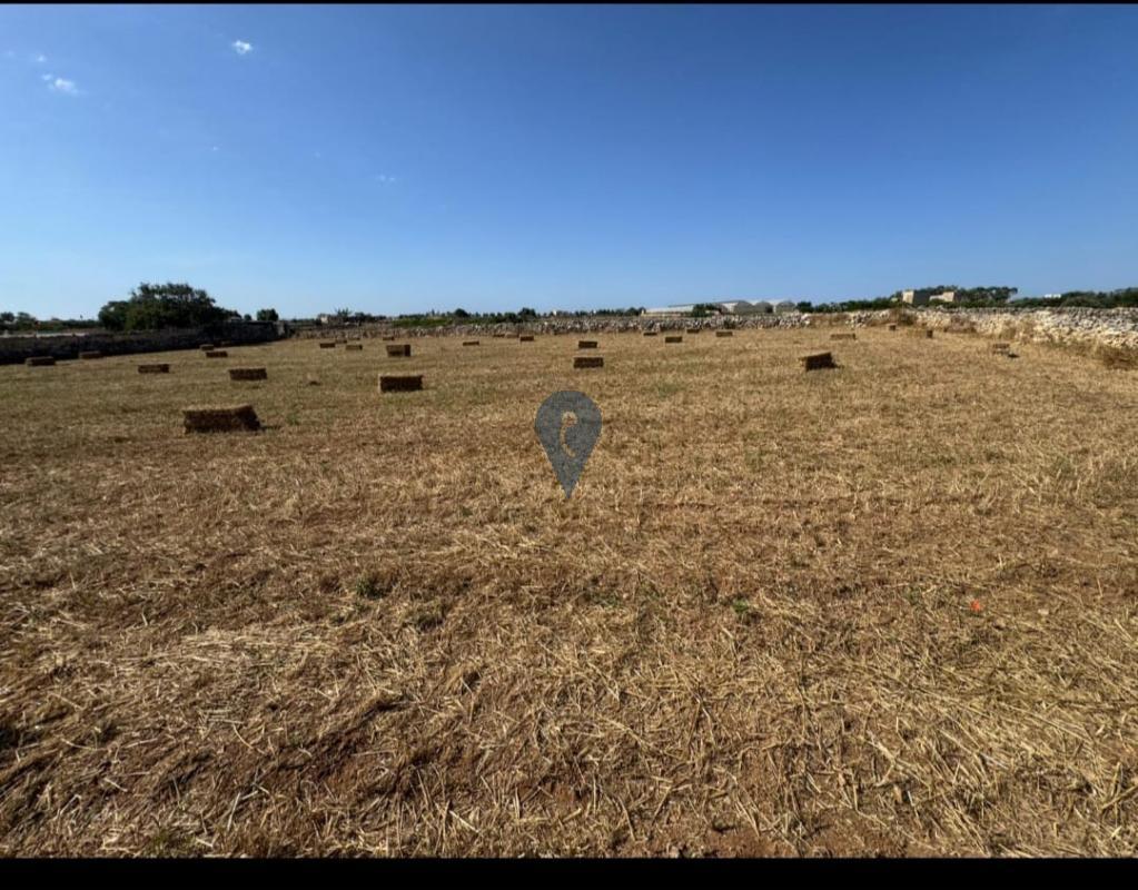 Field in Siggiewi - REF 90309 — Zanzi Homes