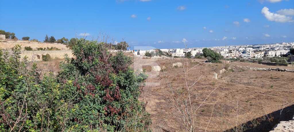 Plots for Sale in Iklin — Belair Property