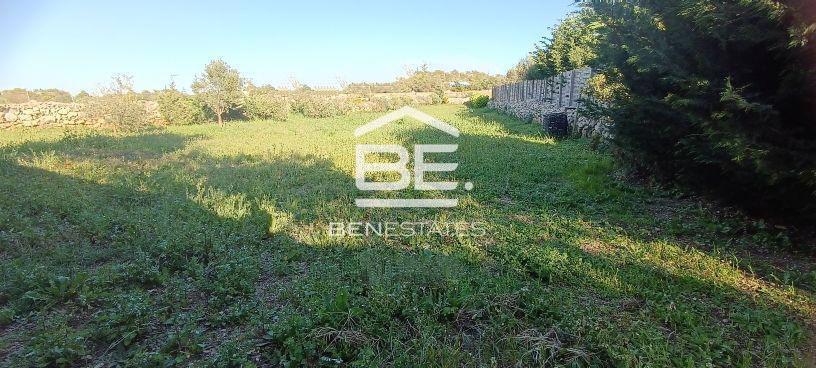 Farmhouse — Ben Estates