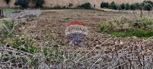 Agriculture Land — RE/MAX Malta