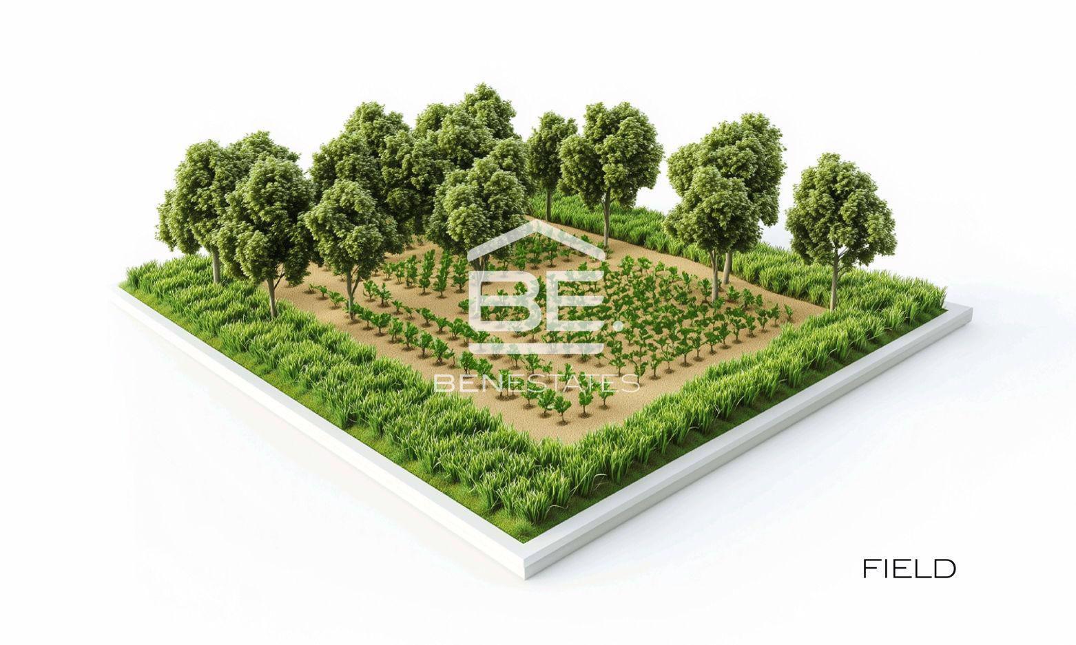 Field — Ben Estates