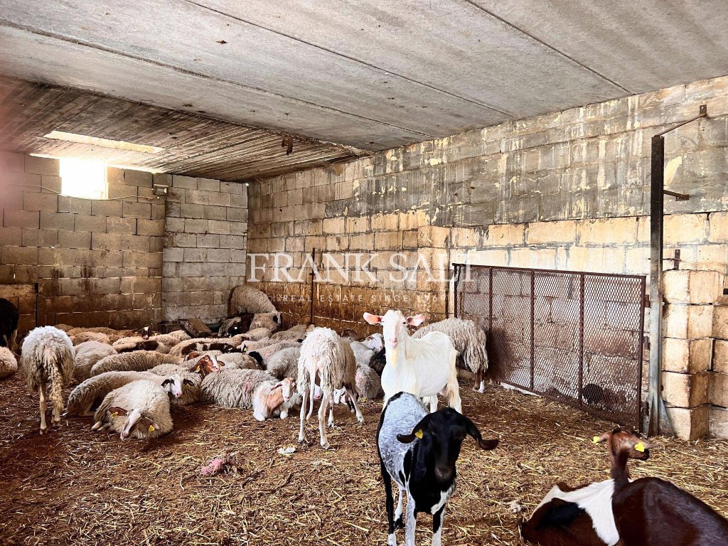 Marsascala, Farmhouse — Frank Salt Real Estate