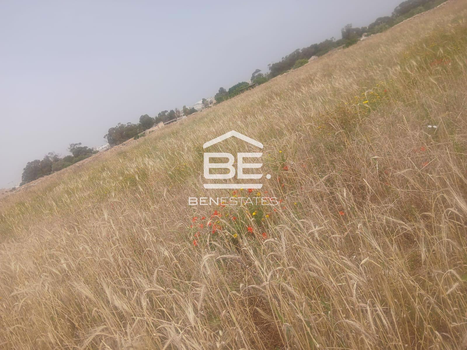 Field — Ben Estates