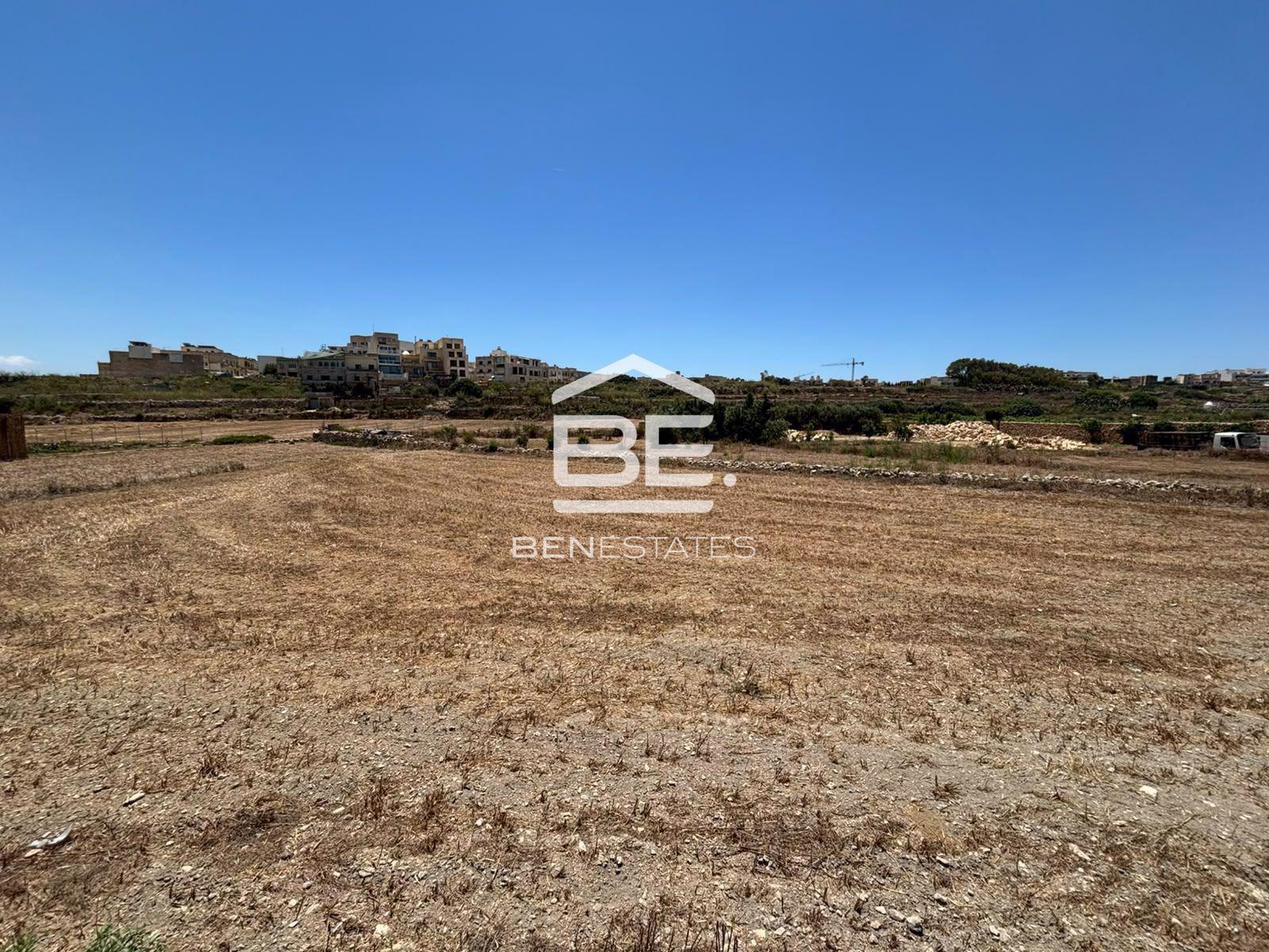 Field — Ben Estates