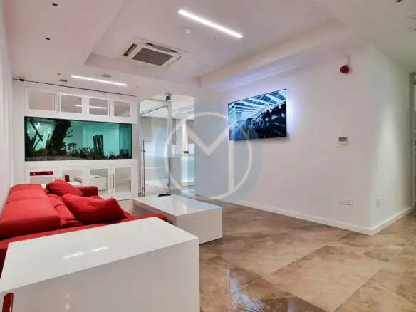 Luxury Commercial Office In St. Julian’s — Malta Offices