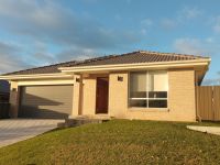 Morisset 29 Pioneer Drive — Wilson Britten