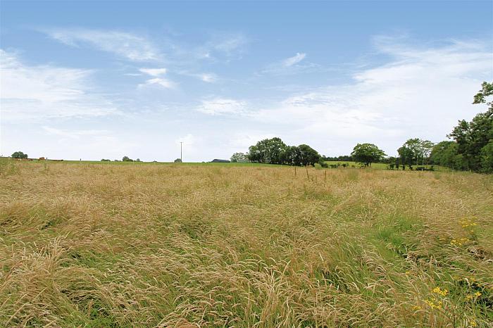 Agricultural Land 180m SE Of 35 Blackstone Road — Colin Graham Residential