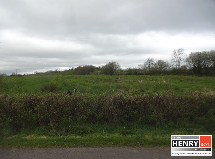 MULNAGORE ROAD — Tom Henry & Co