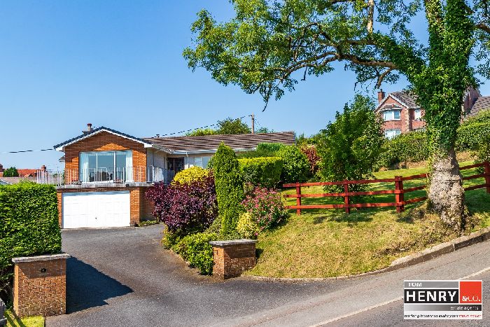 6 MULLAGHADUN LANE — Tom Henry & Co