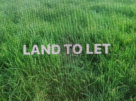 Land Letting, Ruskey Road, Coagh, Cookstown BT80 0AH — Norman Devlin Estate Agents & Surveyors