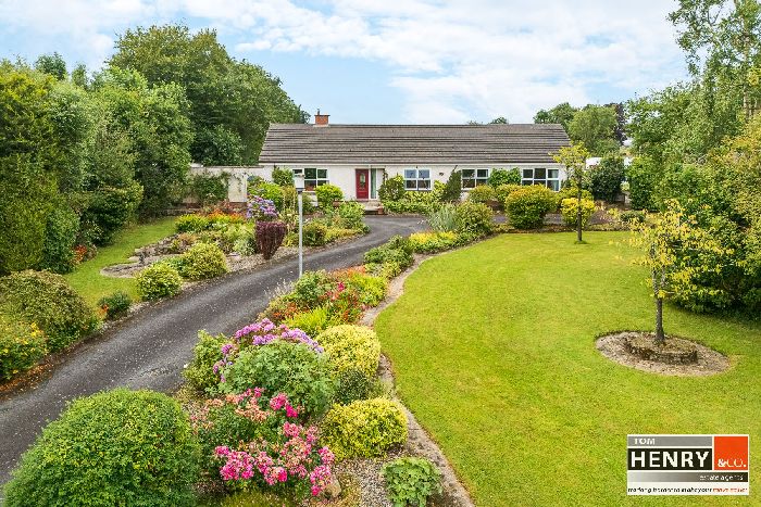 40 FARLOUGH ROAD — Tom Henry & Co