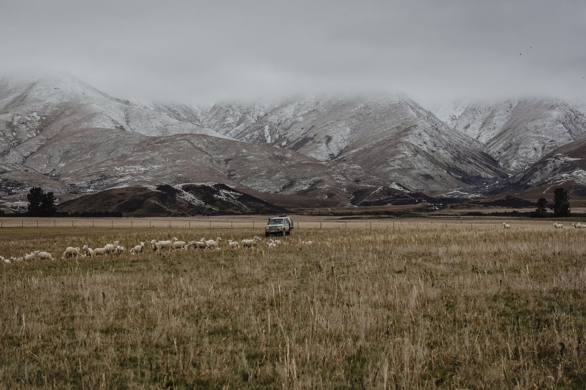 Details — One Agency – The Property Specialists Queenstown