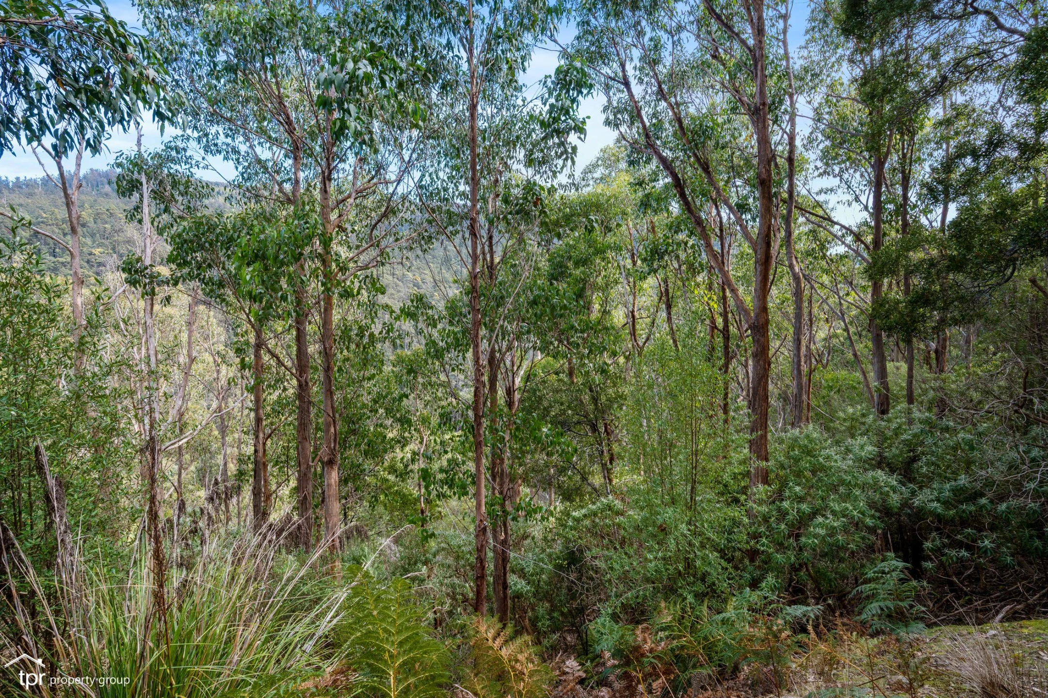 Lot 1 Judds Creek Road, JUDBURY TAS 7109 — TPR Property Group