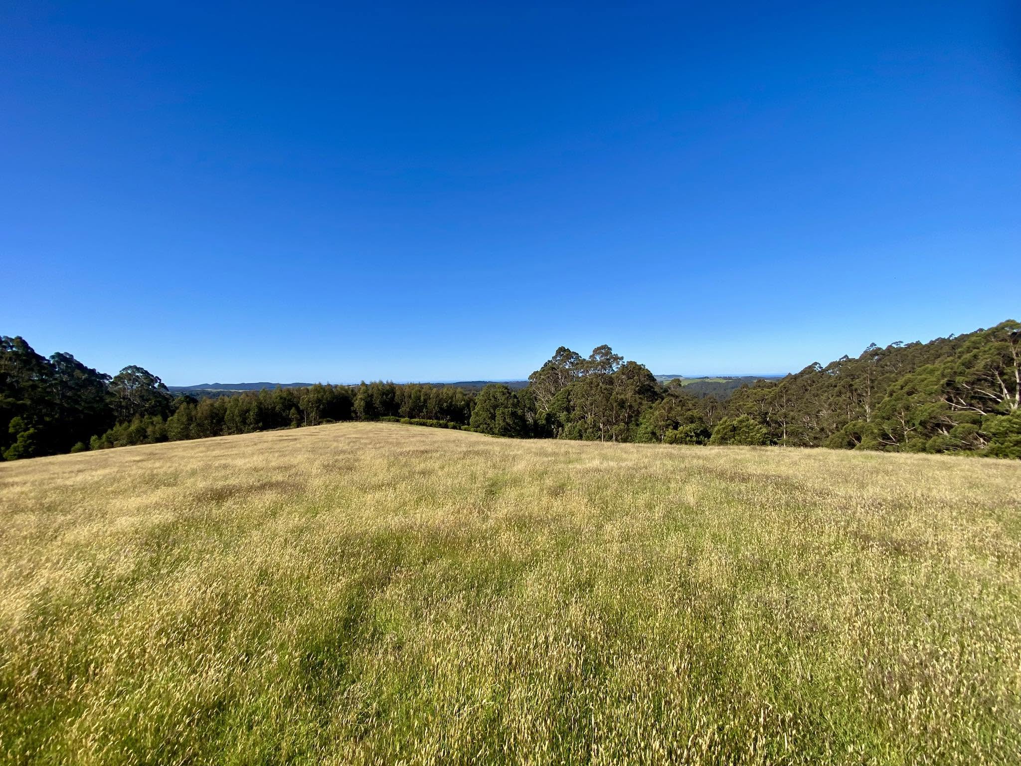 A Magical Lifestyle Opportunity – 18 Acres of Pure Potential 1431 Preolenna Road, MOORLEAH TAS 7325 — View Hobart