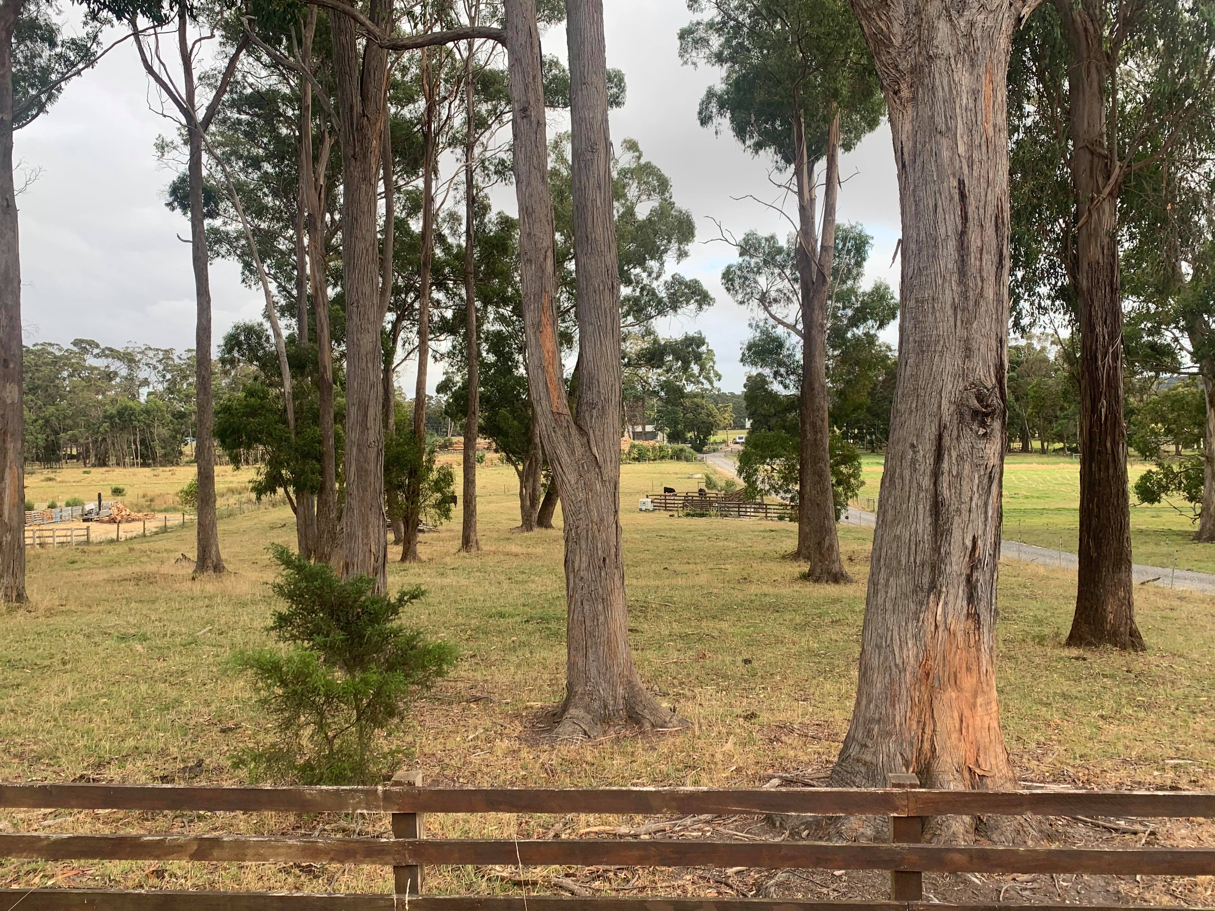 Acreage so close to Town — View Hobart