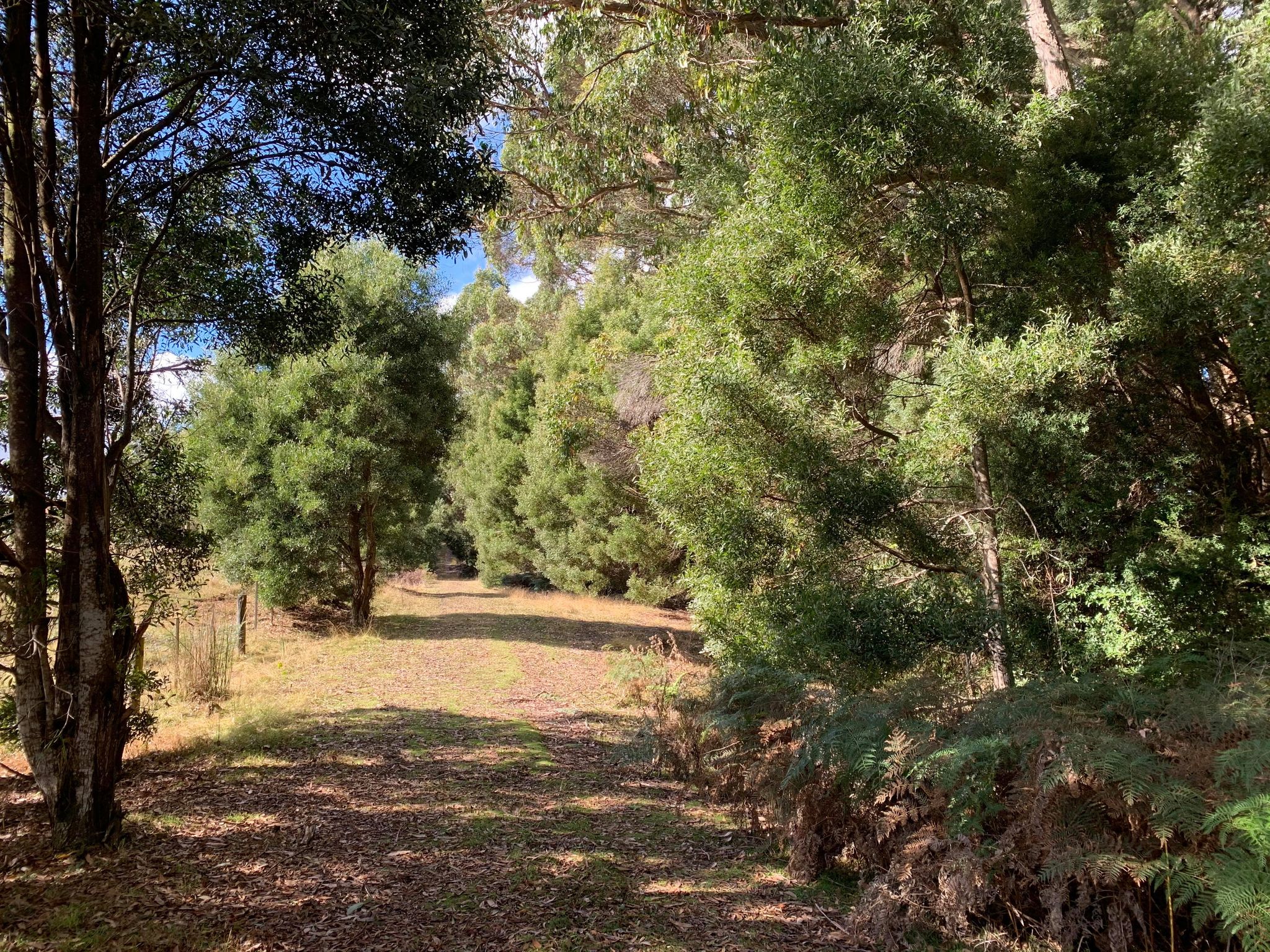 50 Acre Bush Block — View Hobart